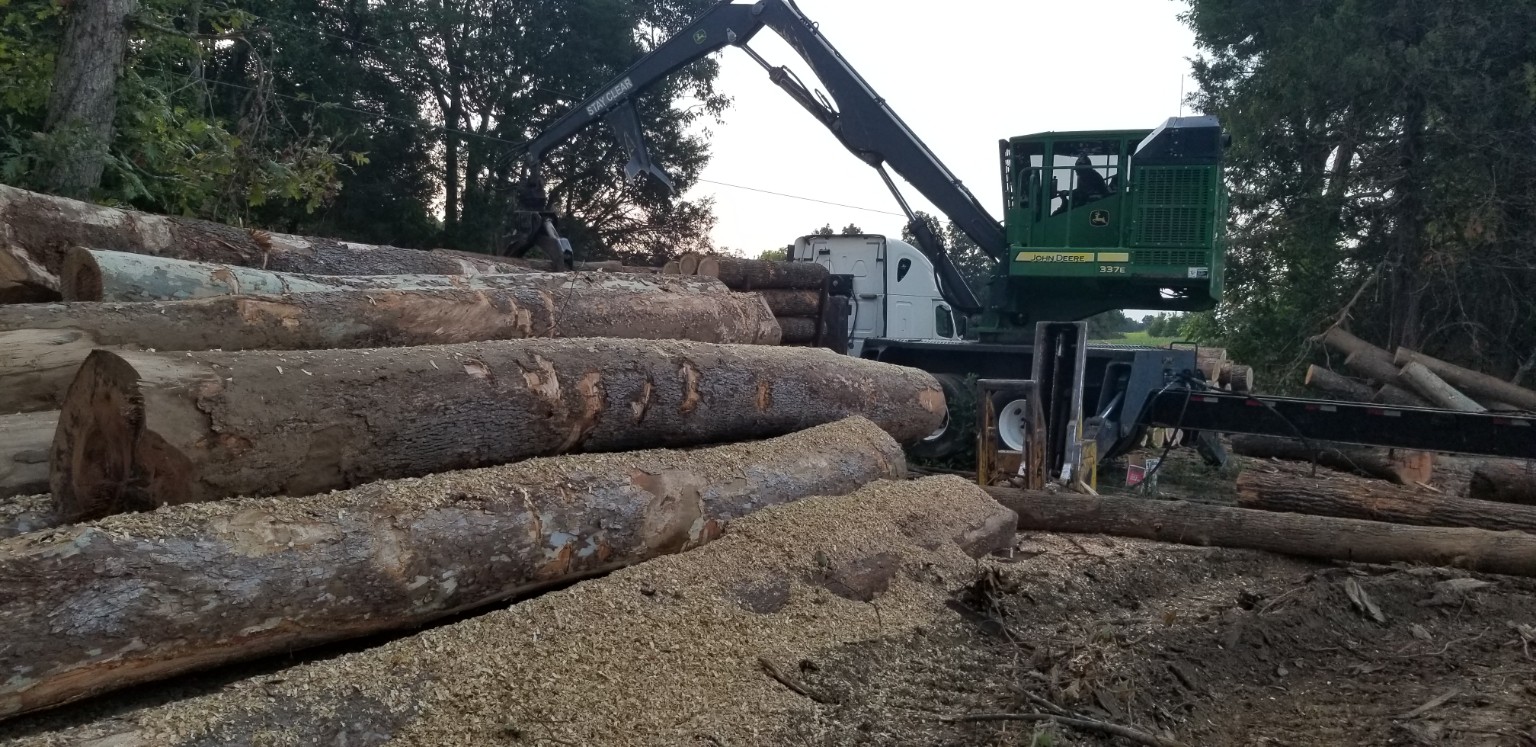 Foreground logs and sawdust beside a green loader and white truck